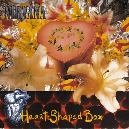 Nirvana heart shaped - box, vinyl
