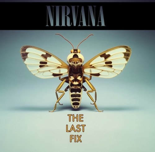 Nirvana the last fix 2 - nirvana,