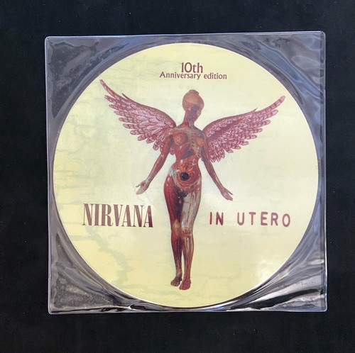 Nirvana utero picture - nirvana,